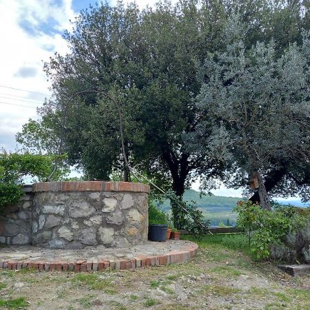 Agriturismo Riparossa Allerona Ngoại thất bức ảnh