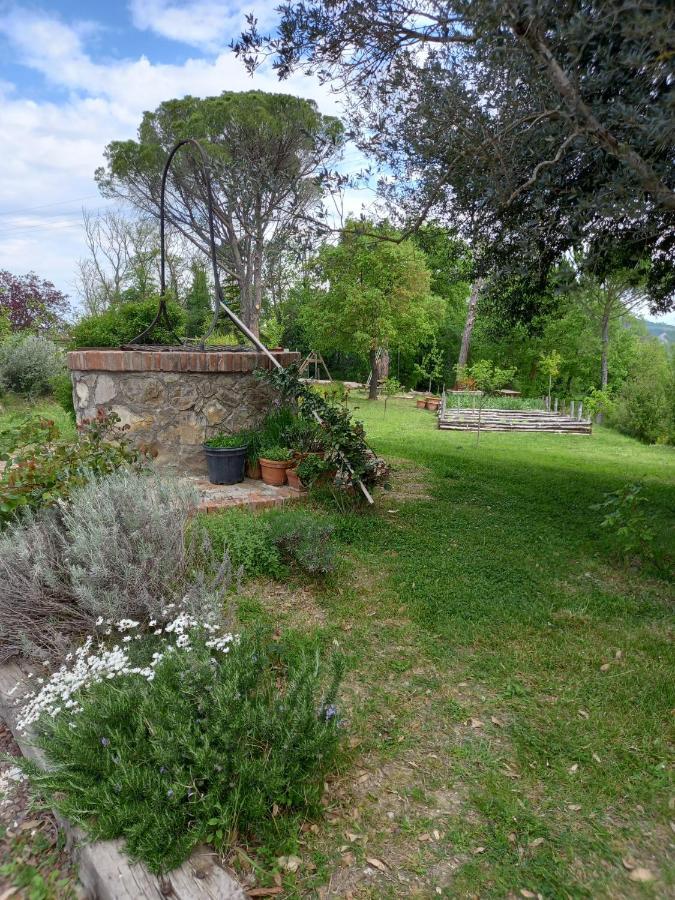 Agriturismo Riparossa Allerona Ngoại thất bức ảnh