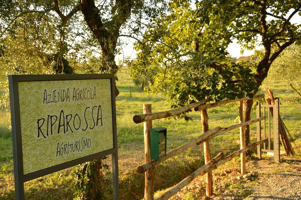 Agriturismo Riparossa Allerona Ngoại thất bức ảnh