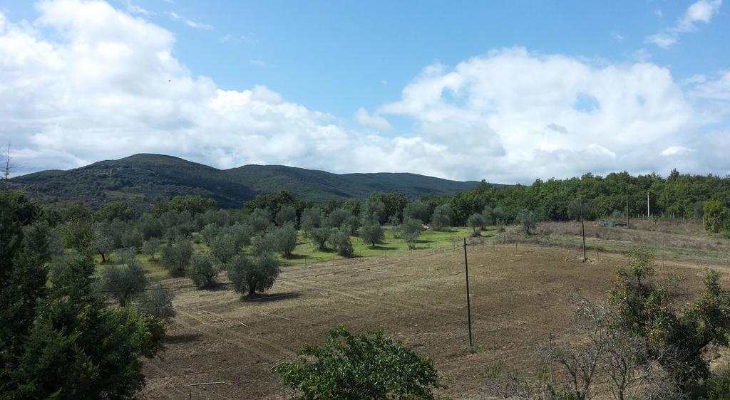 Agriturismo Riparossa Allerona Ngoại thất bức ảnh