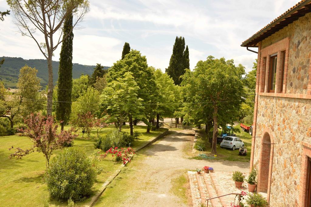 Agriturismo Riparossa Allerona Ngoại thất bức ảnh