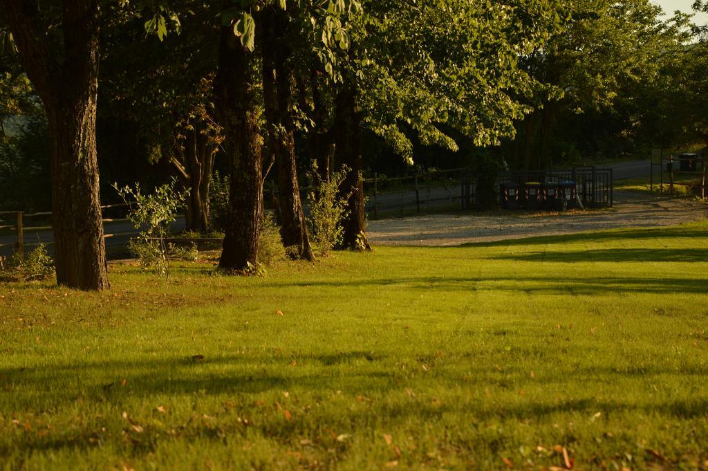 Agriturismo Riparossa Allerona Ngoại thất bức ảnh