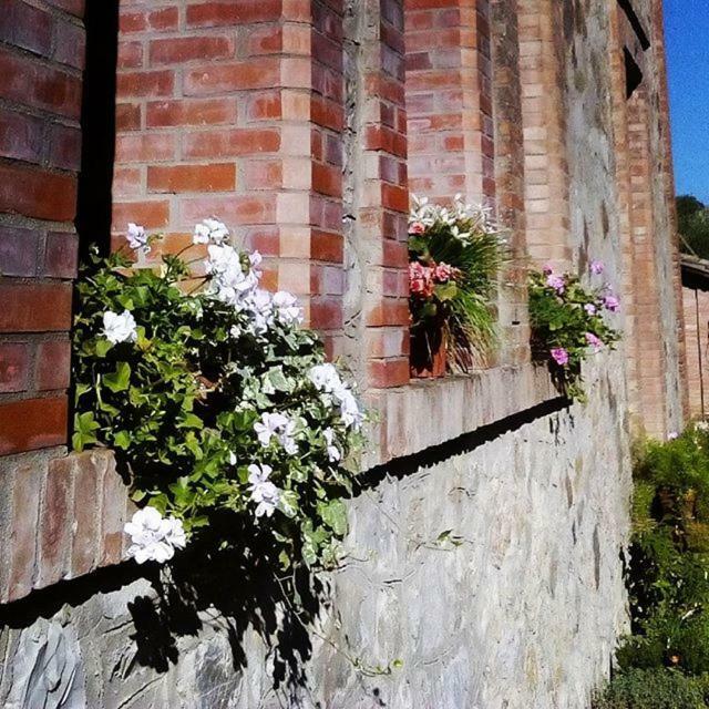 Agriturismo Riparossa Allerona Ngoại thất bức ảnh