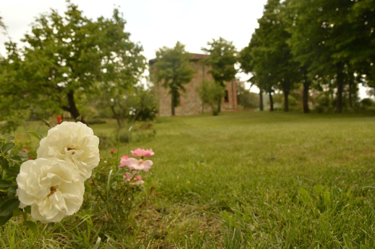 Agriturismo Riparossa Allerona Ngoại thất bức ảnh