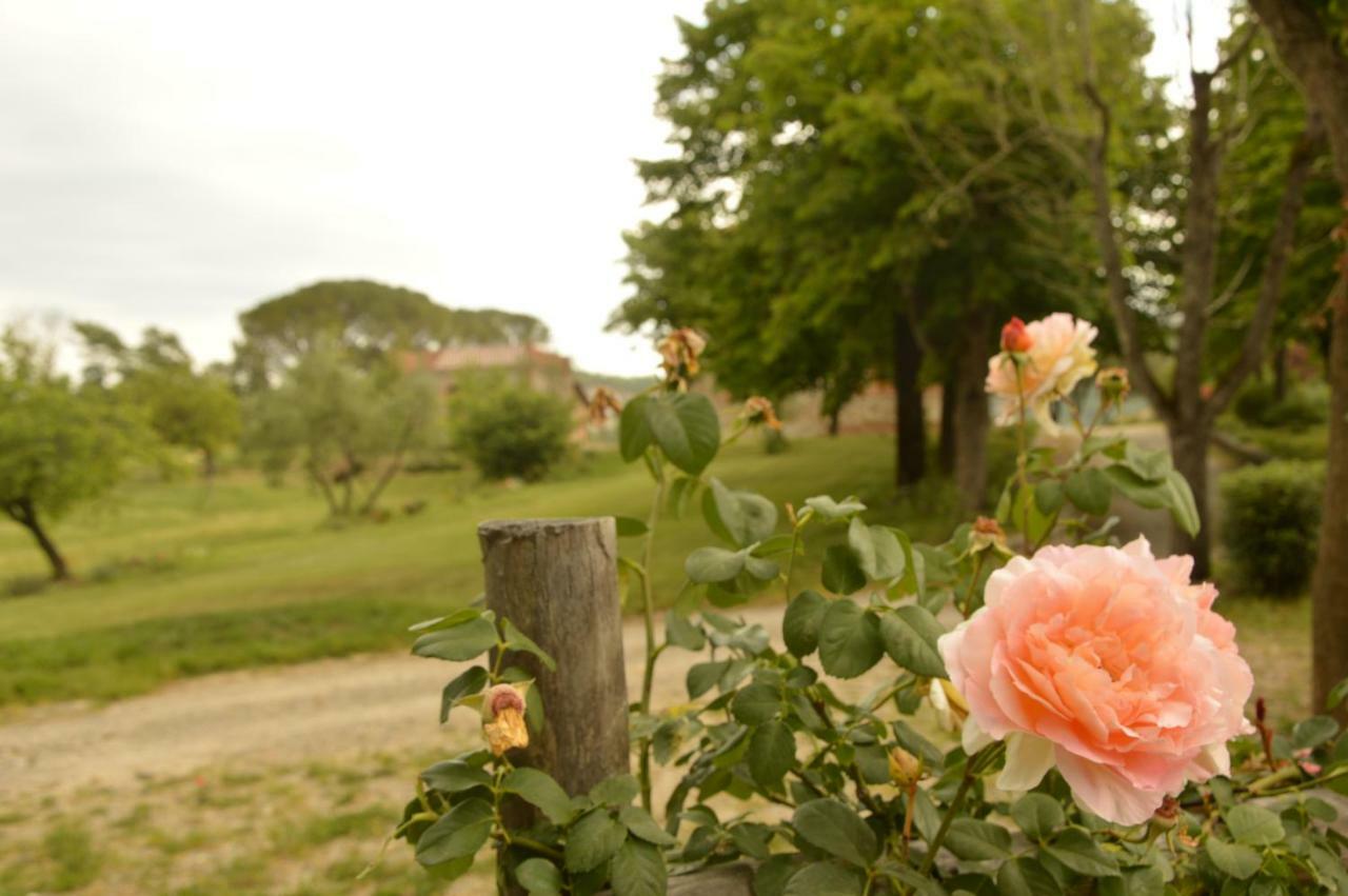 Agriturismo Riparossa Allerona Ngoại thất bức ảnh